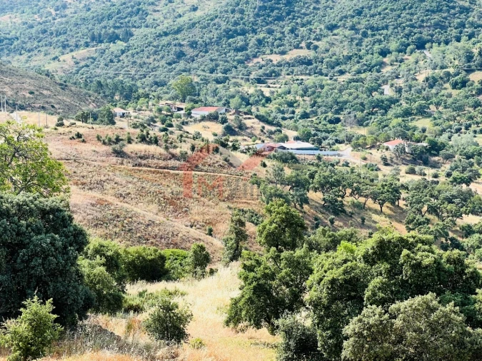 Terreno para Venda em São Brás de Alportel Foto 4