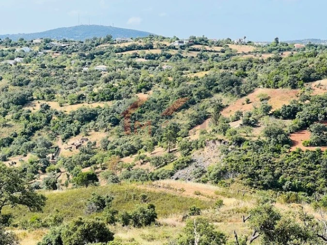 Terreno para Venda em São Brás de Alportel Foto 5