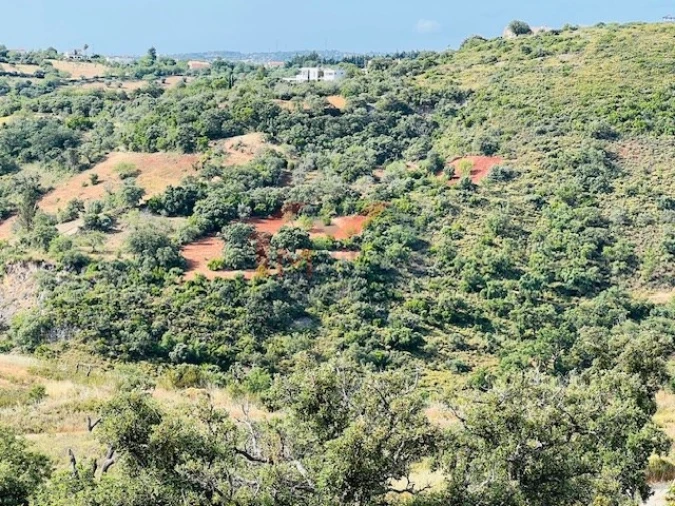 Terreno para Venda em São Brás de Alportel Foto 6