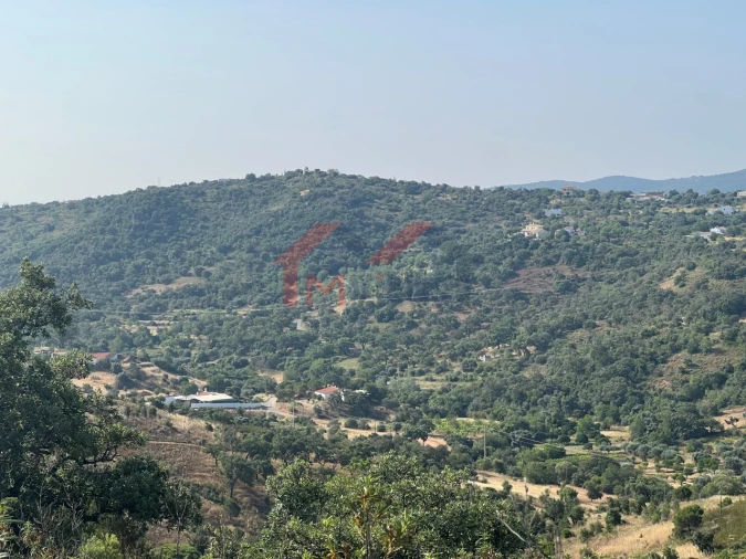 Terreno para Venda em São Brás de Alportel Foto 10