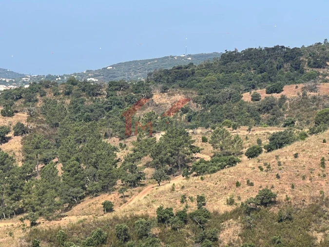 Terreno para Venda em São Brás de Alportel Foto 12