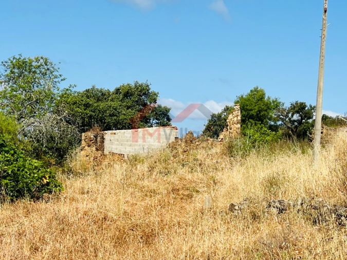 Terreno para Venda em São Brás de Alportel Foto 16