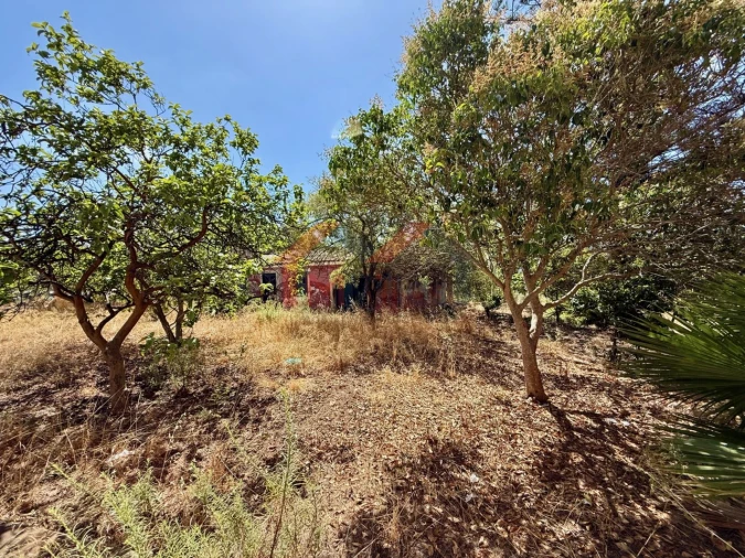 Terreno para Venda em Quelfes Foto 12