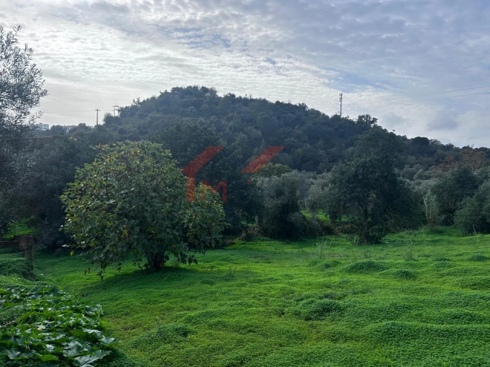 Terreno para Venda em Salir Foto 5