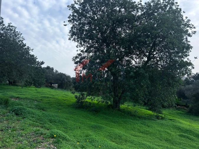 Terreno para Venda em Salir Foto 6