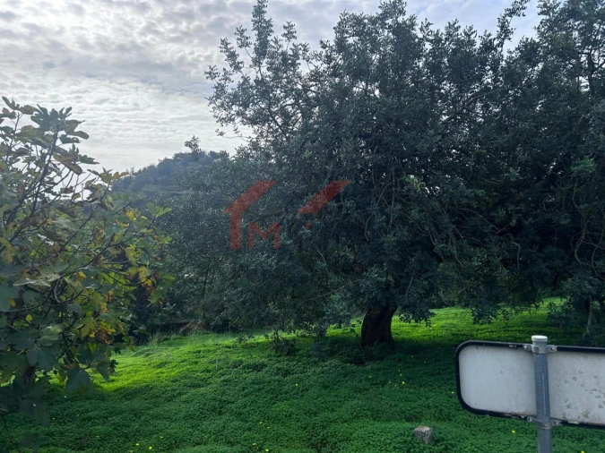 Terreno para Venda em Salir Foto 8