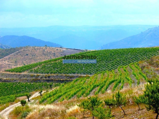 Terreno Agricola ou Rústico para Venda em Vila Nova de Foz Côa