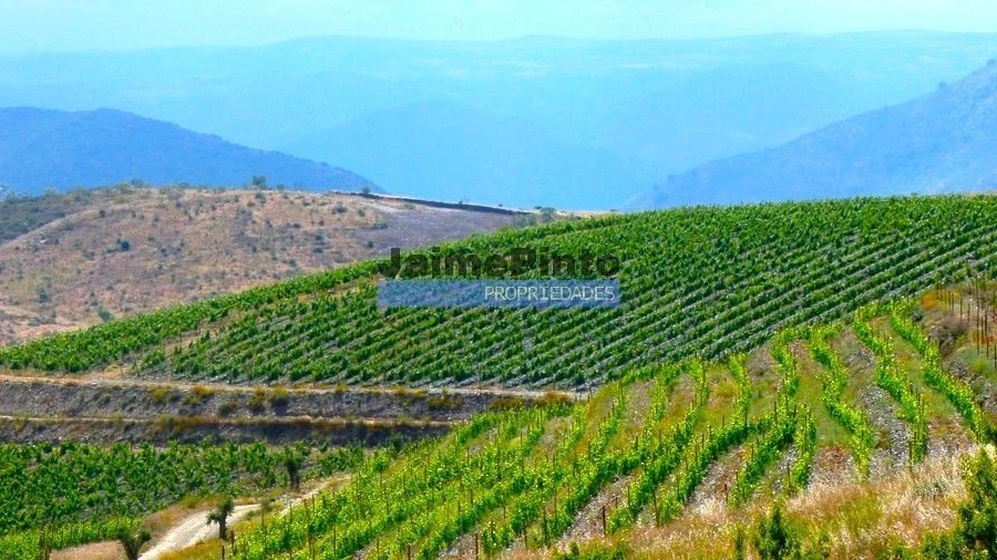 Terreno Agricola ou Rústico para Venda em Vila Nova de Foz Côa