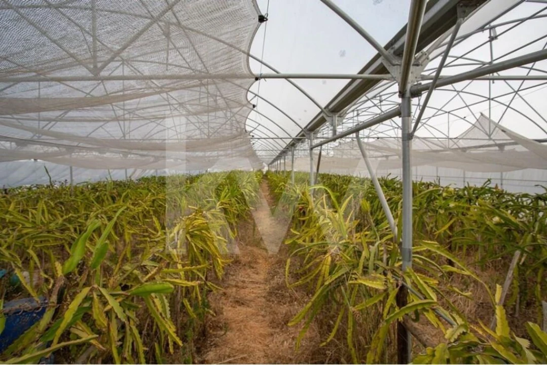 Terreno para Venda em São João das Lampas e Terrugem Foto 8