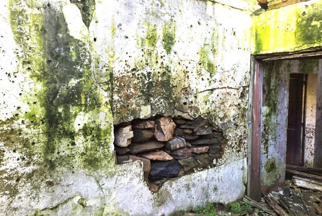 Moradia T5 para Venda em Assumar Foto 8