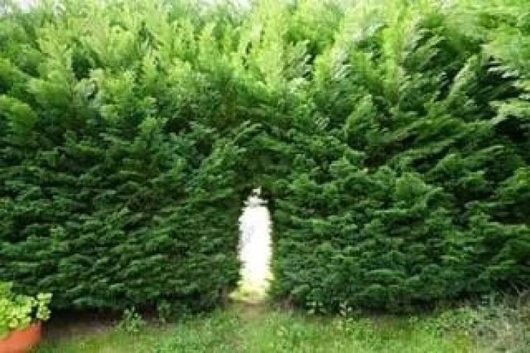 Moradia T4 para Venda em Celeiros Foto 7