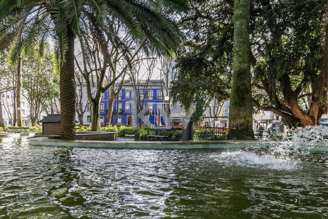 Loja para Venda em Campo de Ourique Foto 23