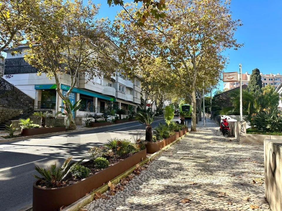 Escritório para Arrendamento em Cascais e Estoril Foto 24