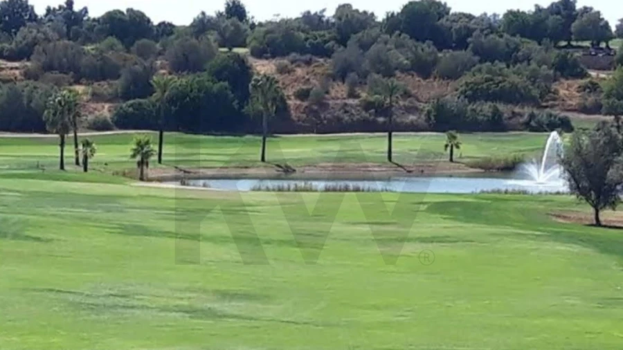 Terreno para Venda em Alcantarilha e Pêra Foto 13