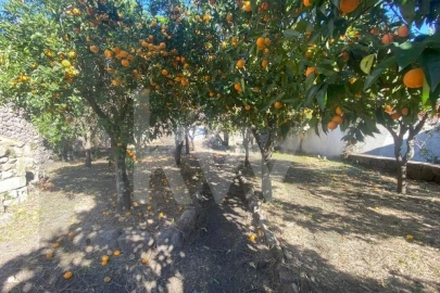 Moradia T12 para Venda em Idanha-A-Nova e Alcafozes