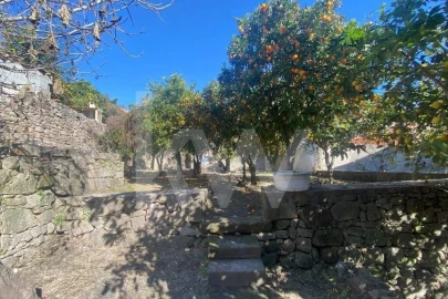 Moradia T12 para Venda em Idanha-A-Nova e Alcafozes