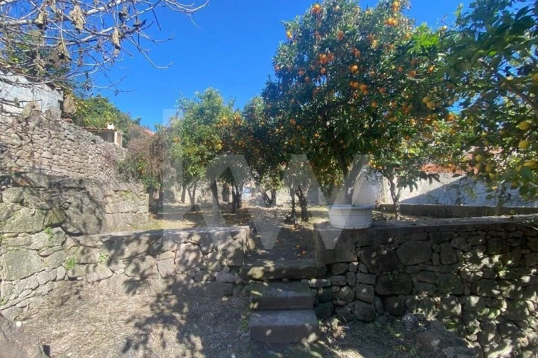Moradia T12 para Venda em Idanha-A-Nova e Alcafozes Foto 22