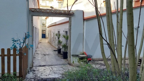 Apartamento para Venda em Estrela