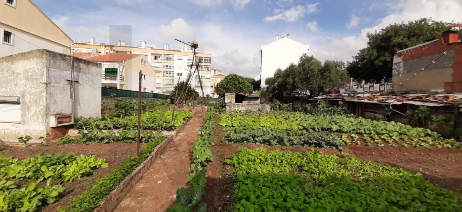 Terreno para Venda em Massamá e Monte Abraão Foto 1