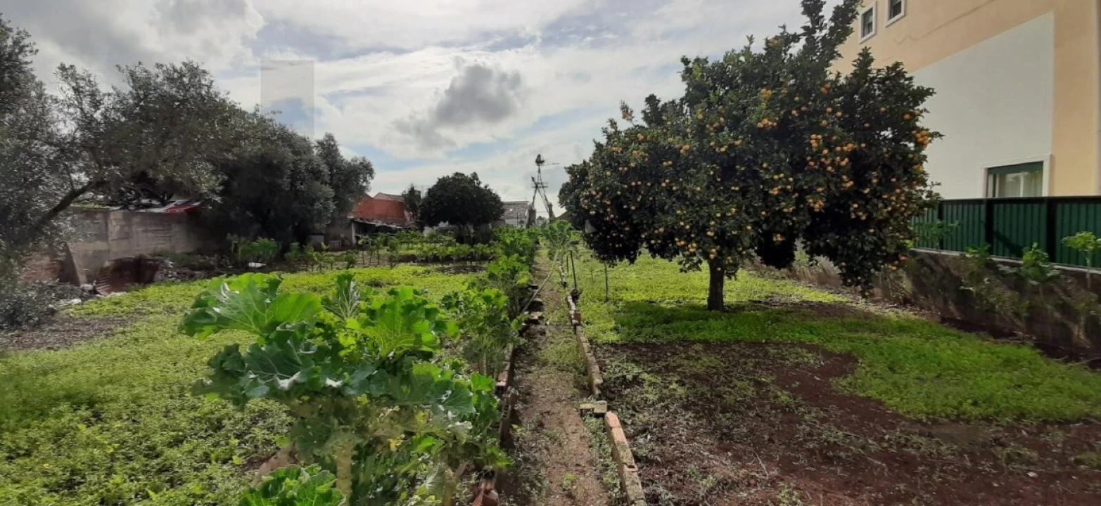 Terreno para Venda em Massamá e Monte Abraão Foto 10