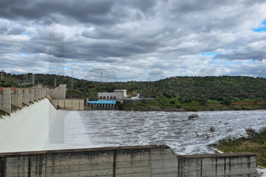Loja para Venda em Pedrogão Foto 24