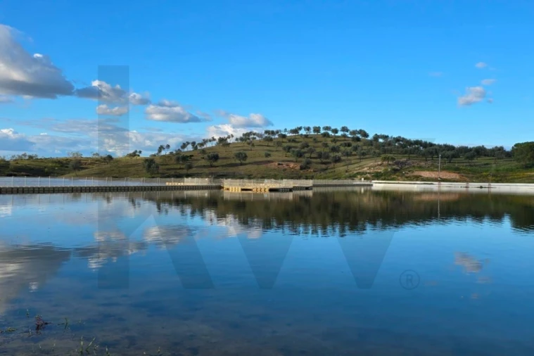 Loja para Venda em Pedrogão Foto 27