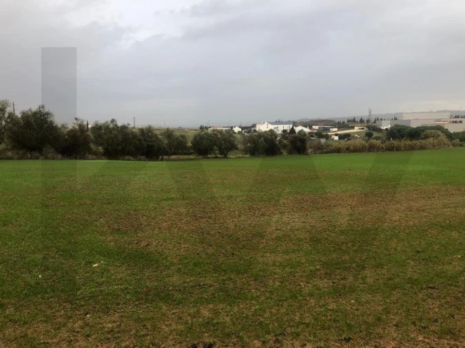 Terreno para Venda em Carregado e Cadafais Foto 8