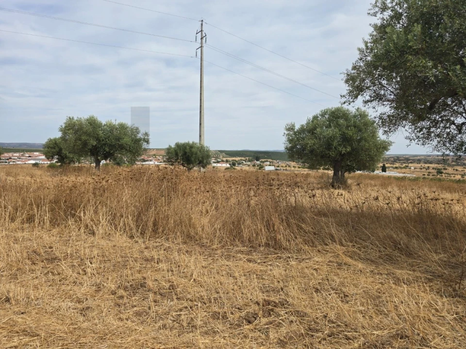 Terreno para Venda em Pedrogão Foto 8