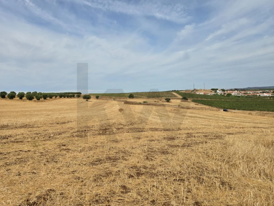 Terreno para Venda em Pedrogão Foto 10