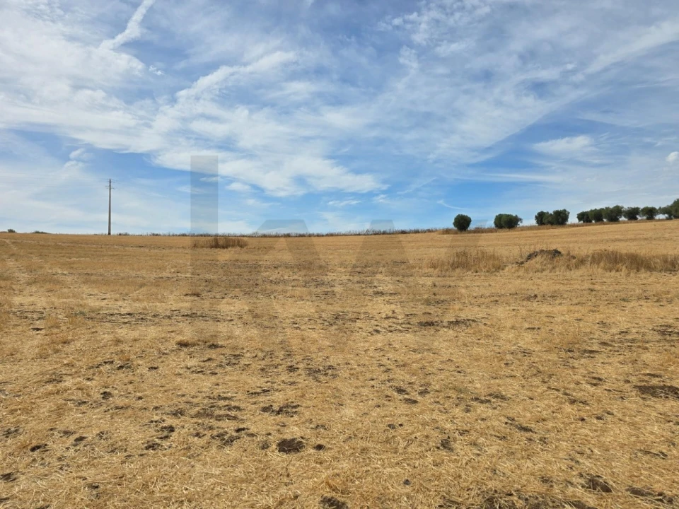 Terreno para Venda em Pedrogão Foto 12