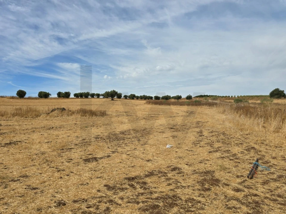Terreno para Venda em Pedrogão Foto 13
