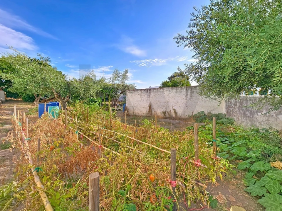 Moradia T2 para Venda em Pedrogão Foto 25