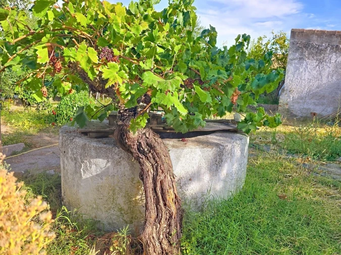 Moradia T2 para Venda em Pedrogão Foto 28