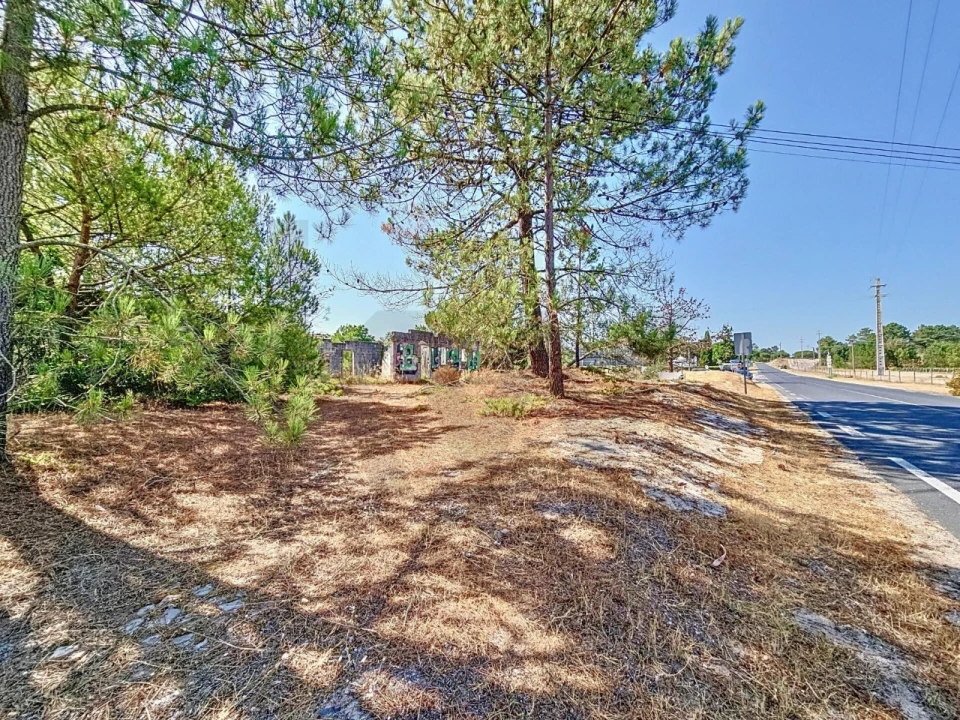 Moradia T5 para Venda em Carvalhal Foto 10