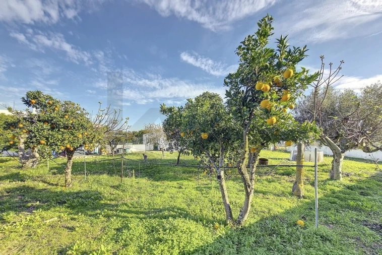 Moradia T4 para Venda em Pinhal Novo Foto 30