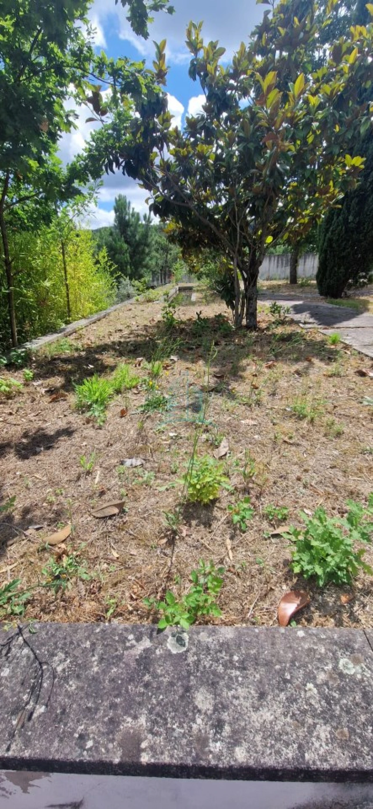 Moradia T4 para Venda em Vila Boa do Bispo Foto 20