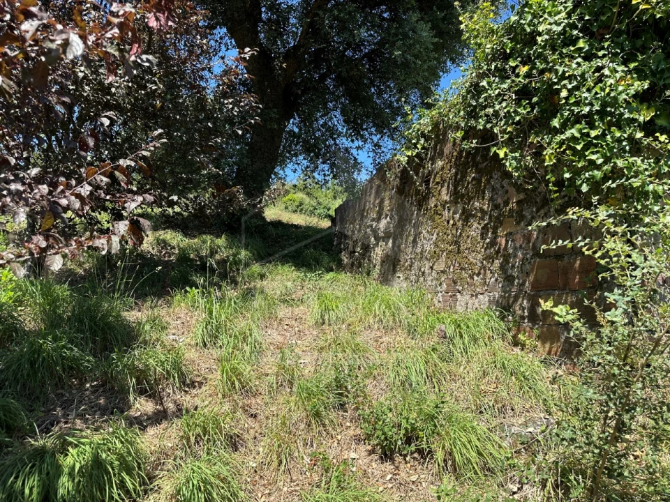 Terreno para Venda em Palmeira de Faro e Curvos Foto 4
