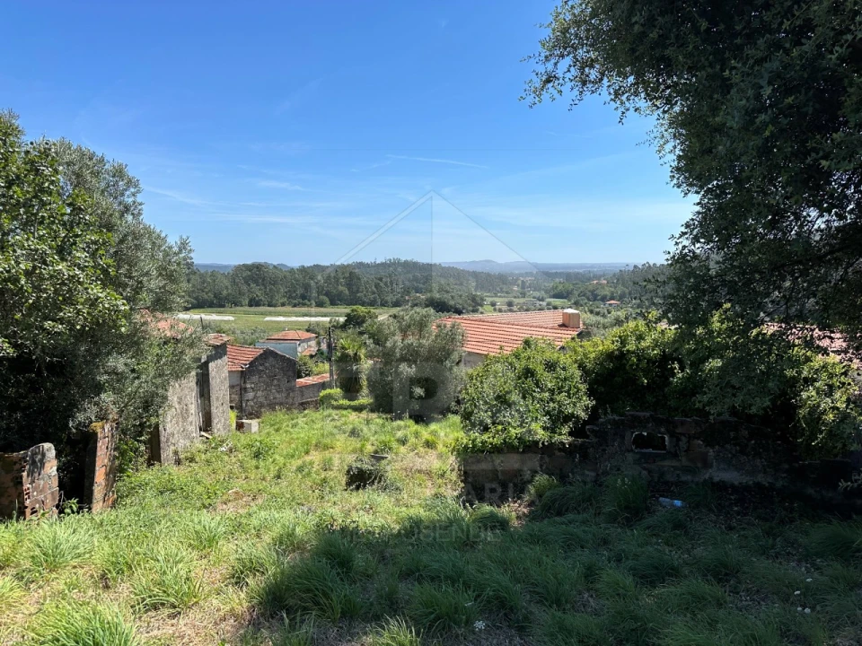 Terreno para Venda em Palmeira de Faro e Curvos Foto 11