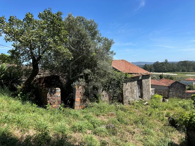 Terreno para Venda em Palmeira de Faro e Curvos Foto 9