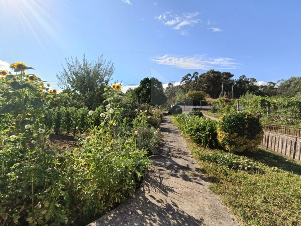 Moradia T3 para Venda em Gandra Foto 11