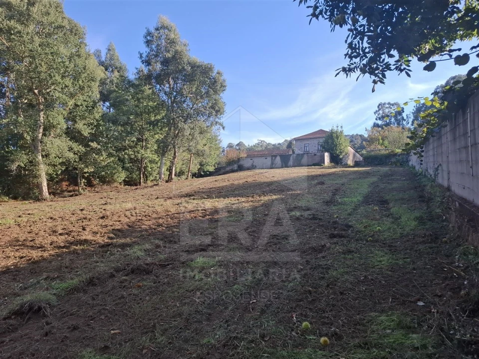 Terreno para Venda em Forjães Foto 3