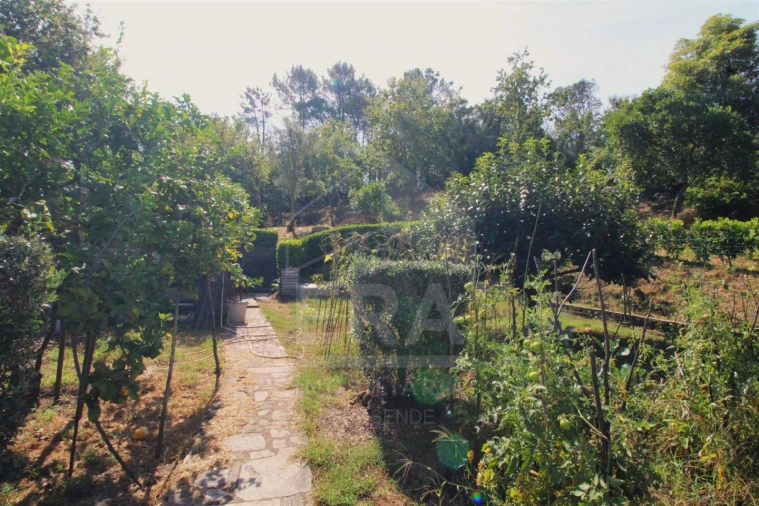 Moradia T5 para Venda em Darque Foto 19