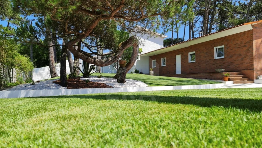 Moradia T3 para Venda em Apúlia e Fão Foto 3