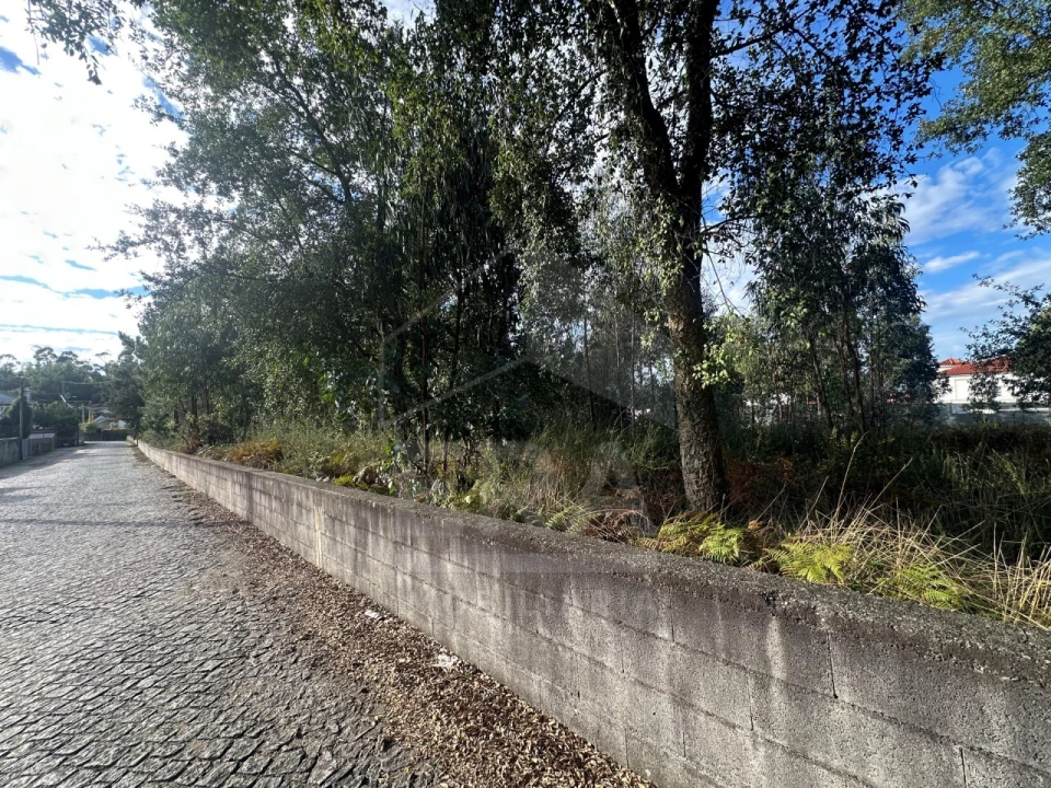 Terreno para Venda em Alvelos Foto 5