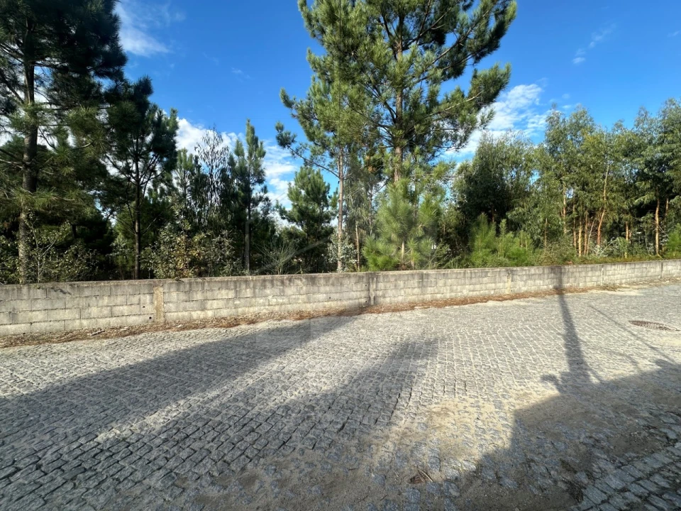 Terreno para Venda em Alvelos Foto 6