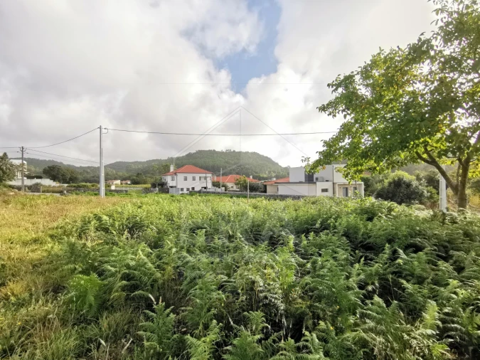 Terreno para Venda em Antas Foto 5