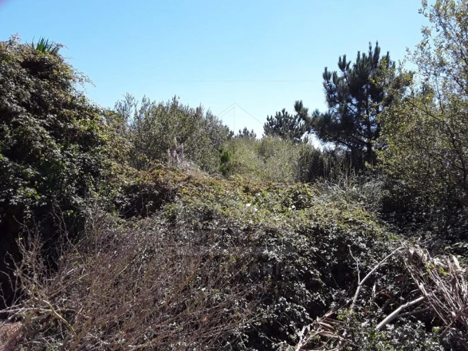 Terreno para Venda em Apúlia e Fão Foto 2