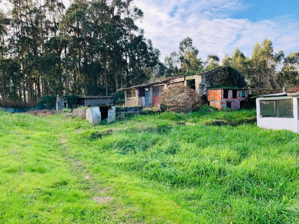 Terreno para Venda em Apúlia e Fão Foto 4