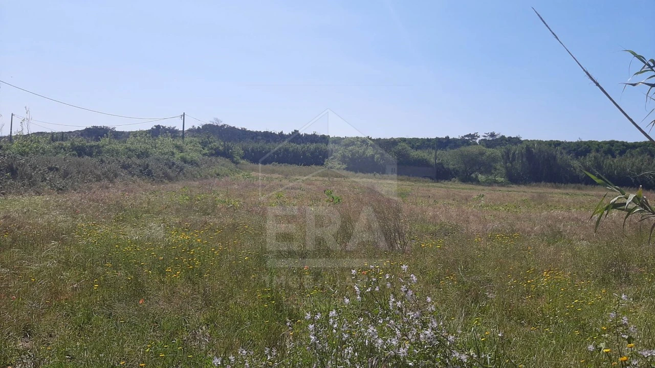 Terreno Agricola ou Rústico para Venda em Belinho e Mar Foto 1