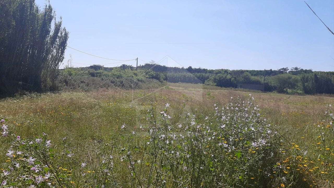 Terreno Agricola ou Rústico para Venda em Belinho e Mar Foto 2